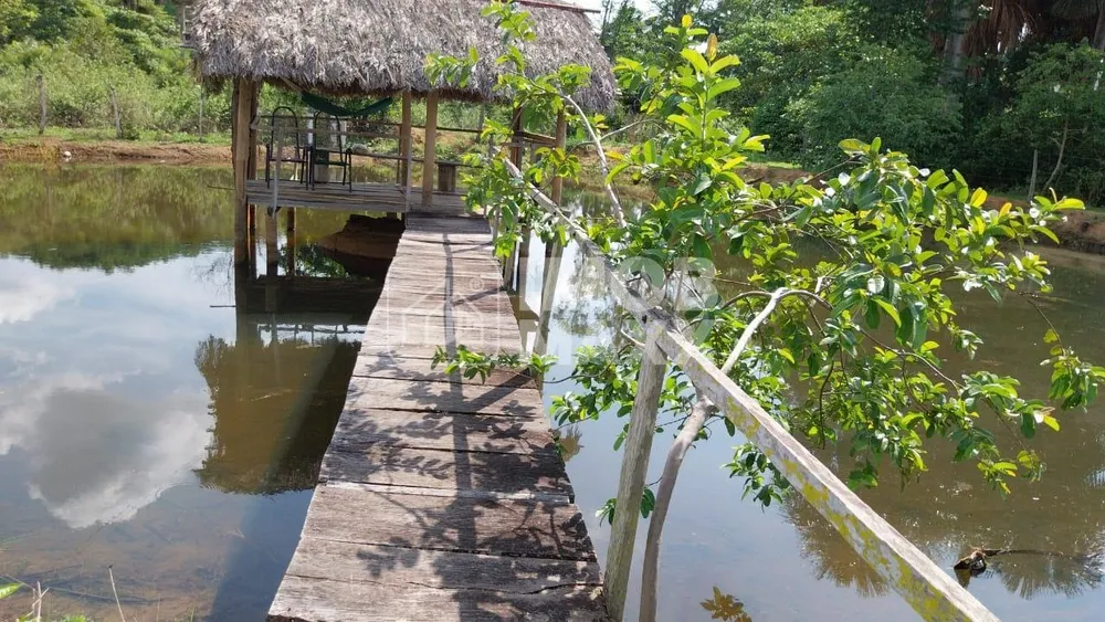 Fazenda, 5000 m² - Foto 7