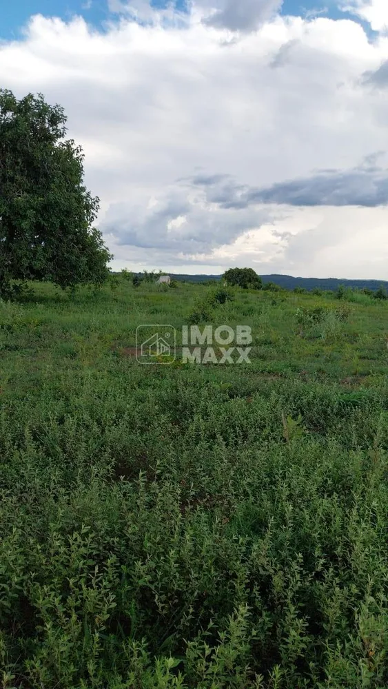 Fazenda, 700 hectares - Foto 7