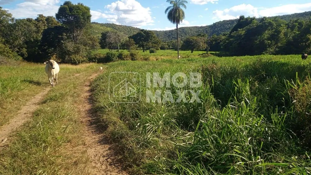 Fazenda, 700 hectares - Foto 14