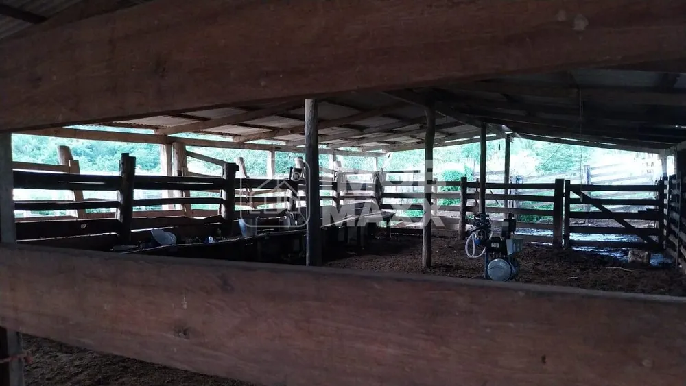 Fazenda, 700 hectares - Foto 9