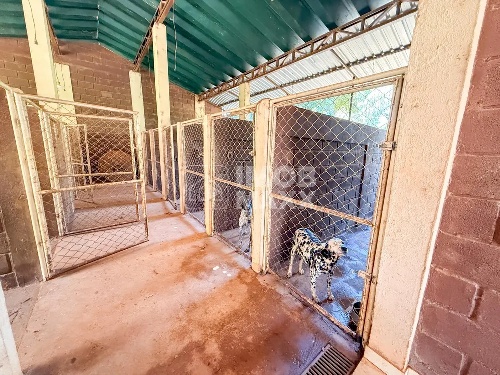 Chácara, 2 quartos, 8670 m² - Foto 6