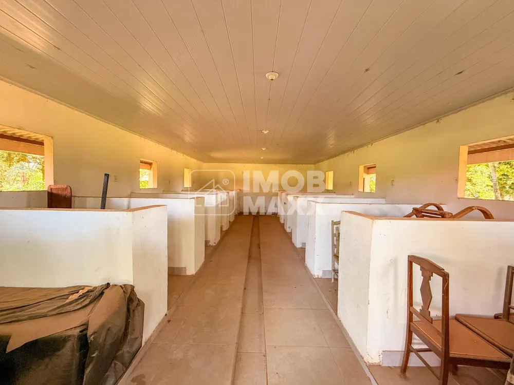 Chácara, 2 quartos, 8670 m² - Foto 11