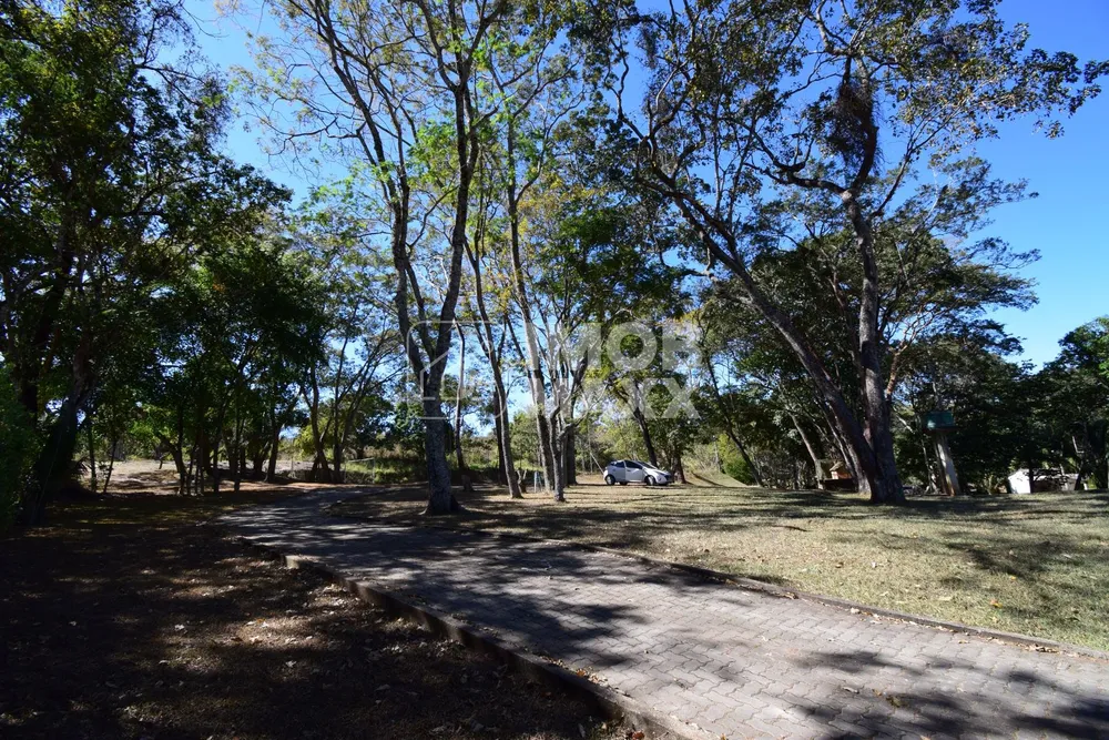 Sítio, 5 quartos, 5 hectares - Foto 29