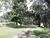 Chácara, 5 quartos, 5 hectares - Foto 4