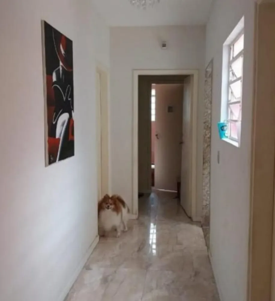 Casa, 3 quartos, 270 m² - Foto 3