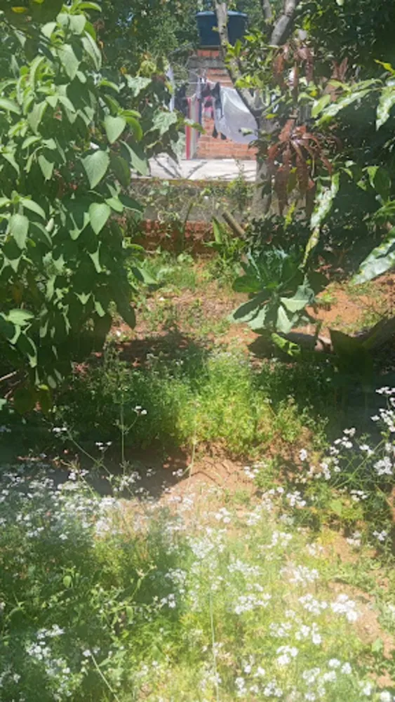 Sobrado, 3 quartos, 200 m² - Foto 1