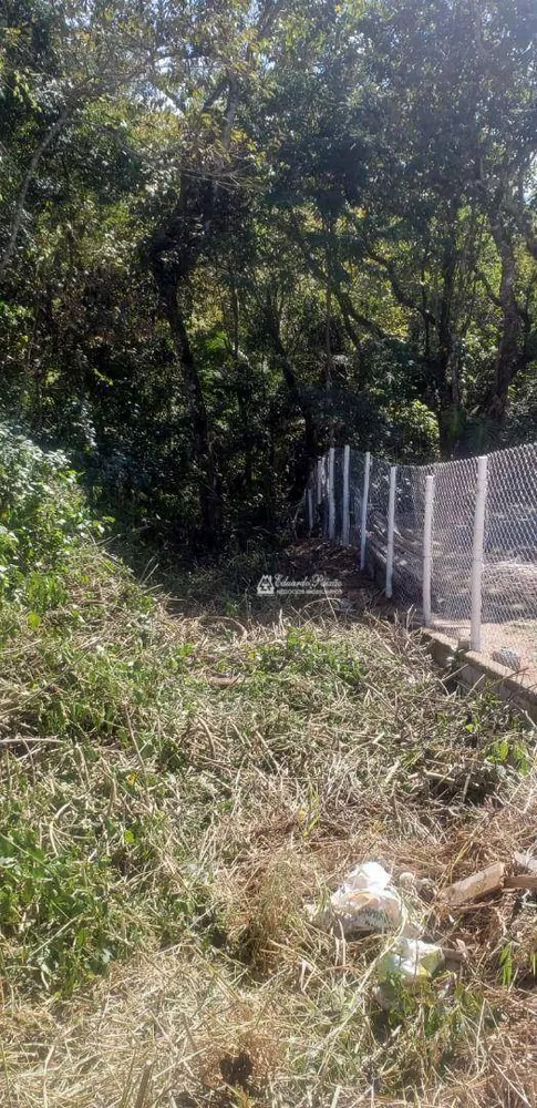 Loteamento e Condomínio à venda, 1300M2 - Foto 3