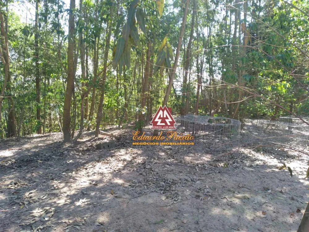 Chácara, 3 quartos, 1120 m² - Foto 5