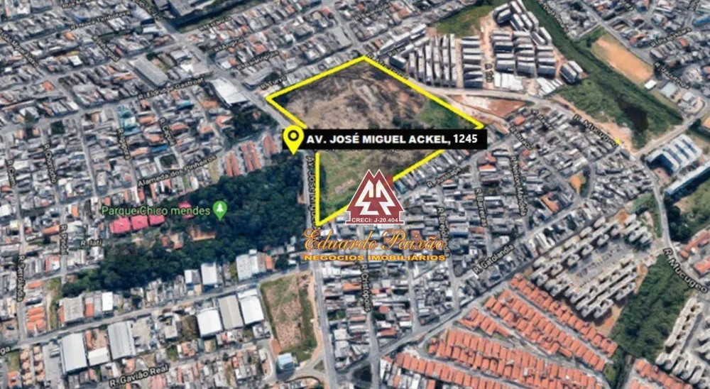 Terreno, 5 hectares - Foto 6