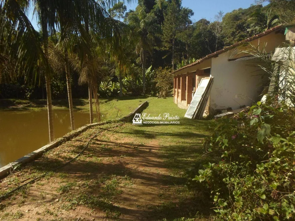 Sítio, 3 quartos, 5 hectares - Foto 3