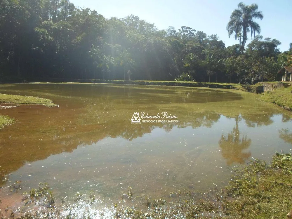 Sítio, 3 quartos, 5 hectares - Foto 4