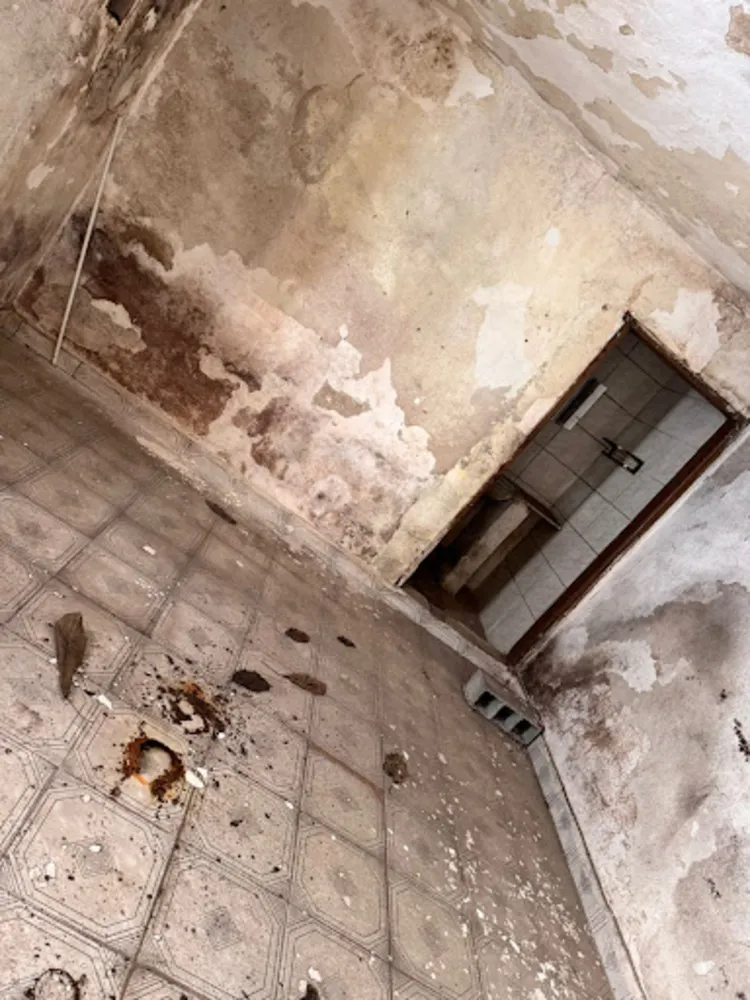 Casa, 4 quartos, 146 m² - Foto 4