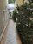 Sobrado, 3 quartos, 260 m² - Foto 4