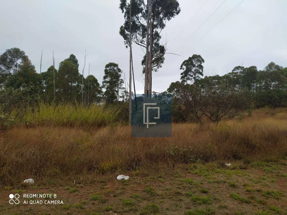 Loteamento e Condomínio, 4000 m² - Foto 4
