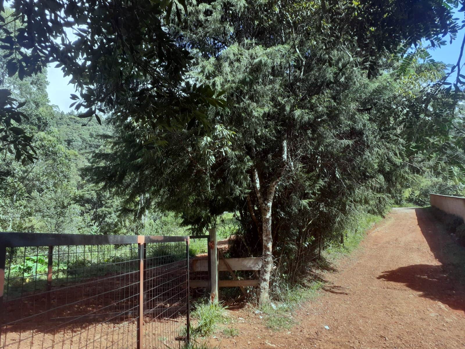 Chácara à venda, 20000m2 - Foto 5