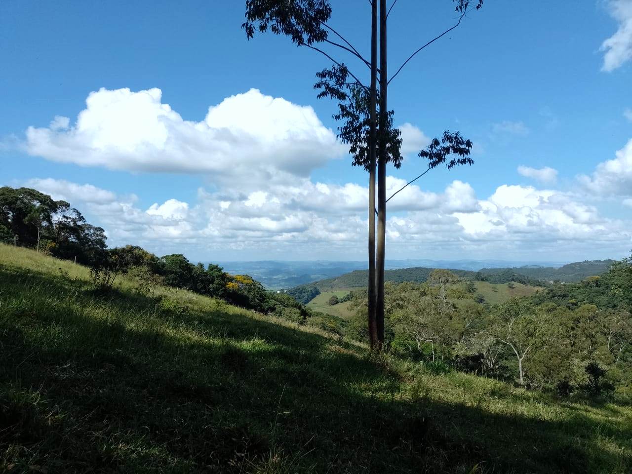 Chácara à venda, 20000m2 - Foto 1