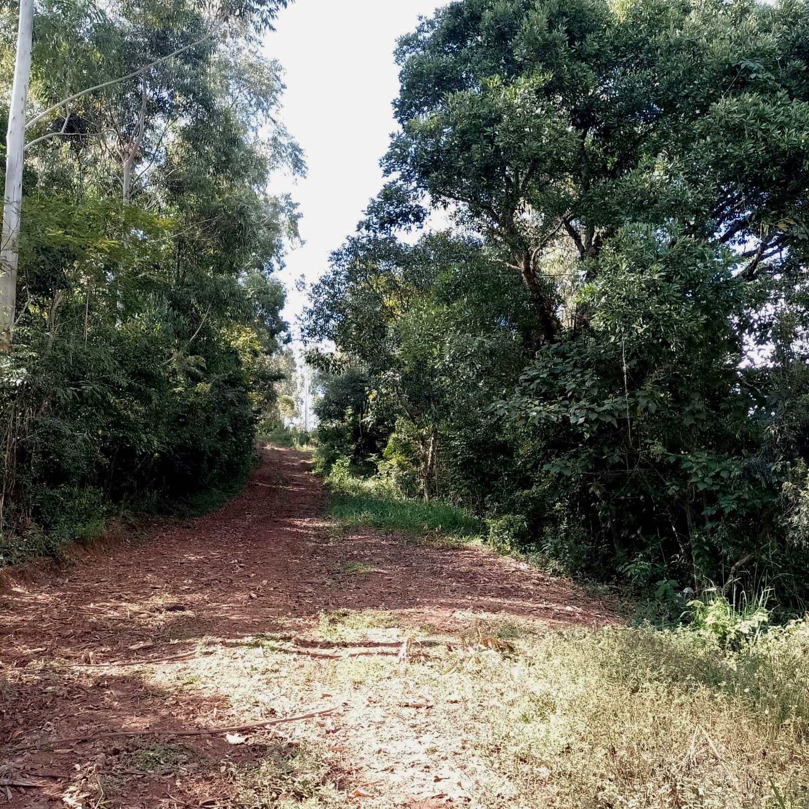 Chácara à venda, 20000m2 - Foto 7