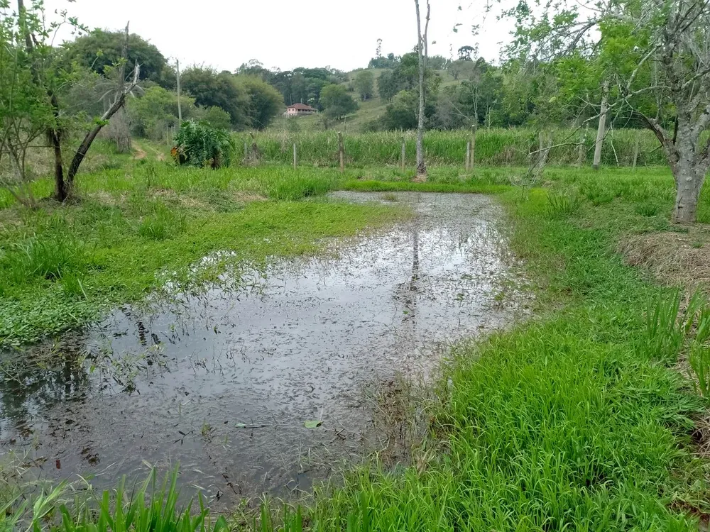 Chácara, 2 quartos, 2500 m² - Foto 5