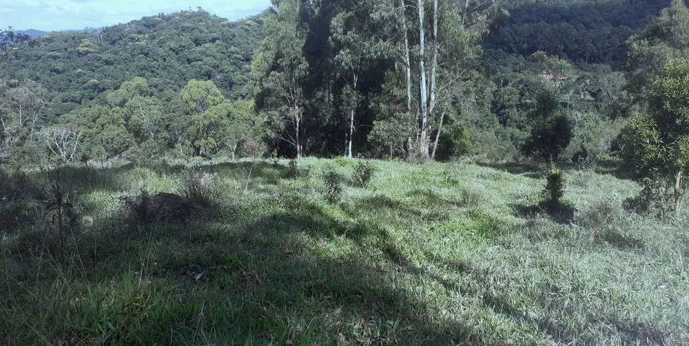Chácara, 5000 m² - Foto 2