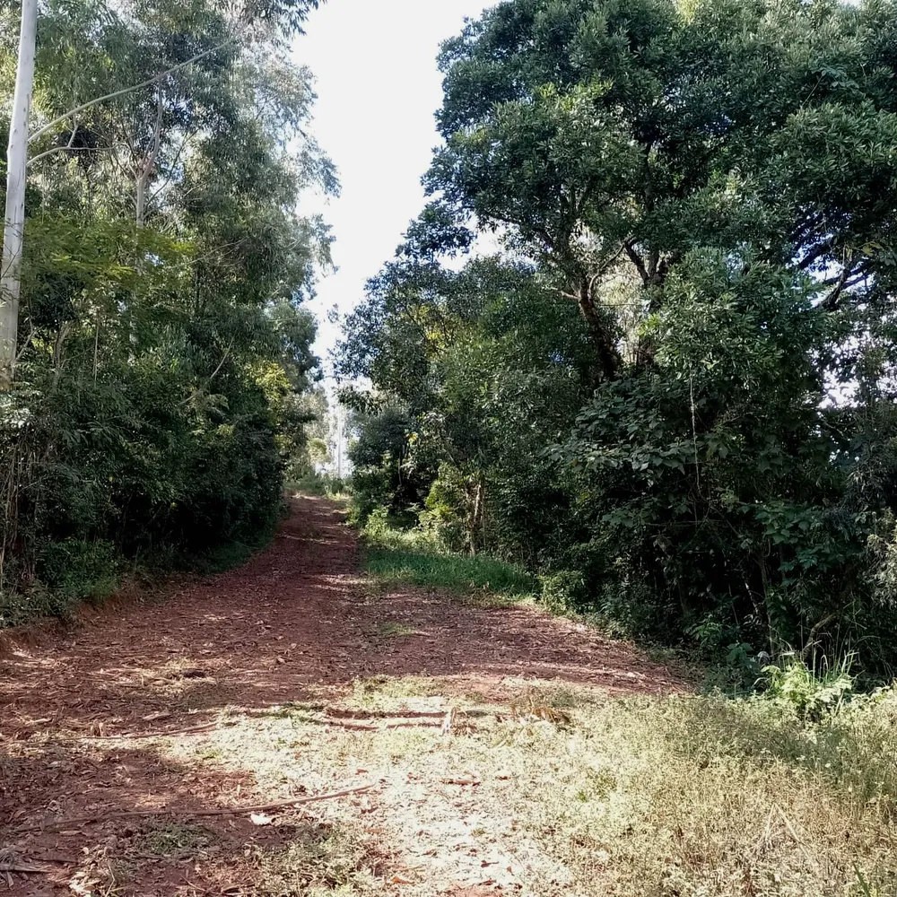 Chácara, 5000 m² - Foto 7