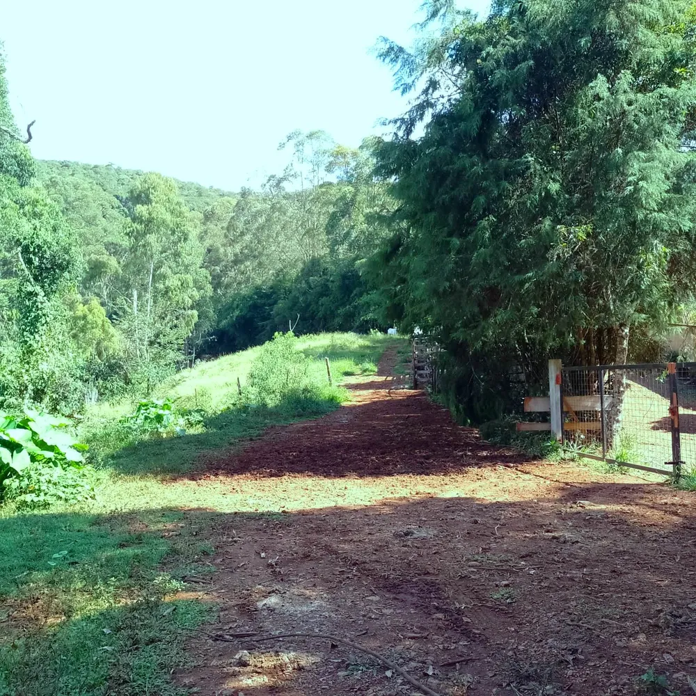 Chácara, 5000 m² - Foto 6