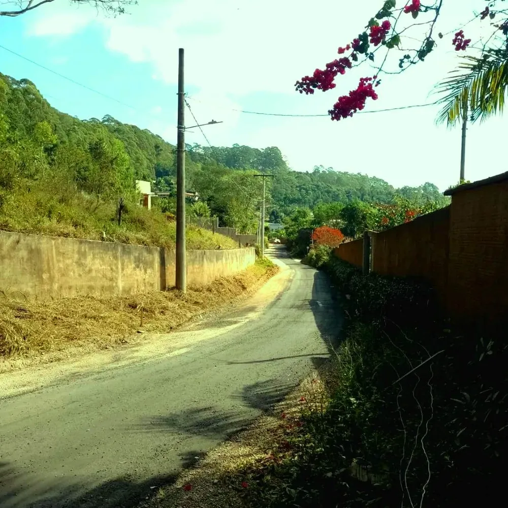 Chácara, 5000 m² - Foto 5