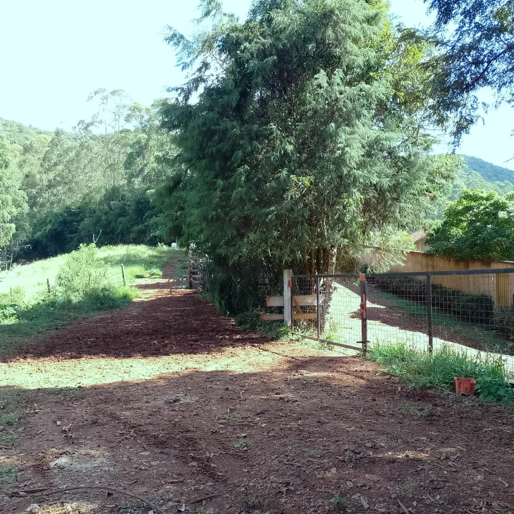 Chácara, 5000 m² - Foto 3