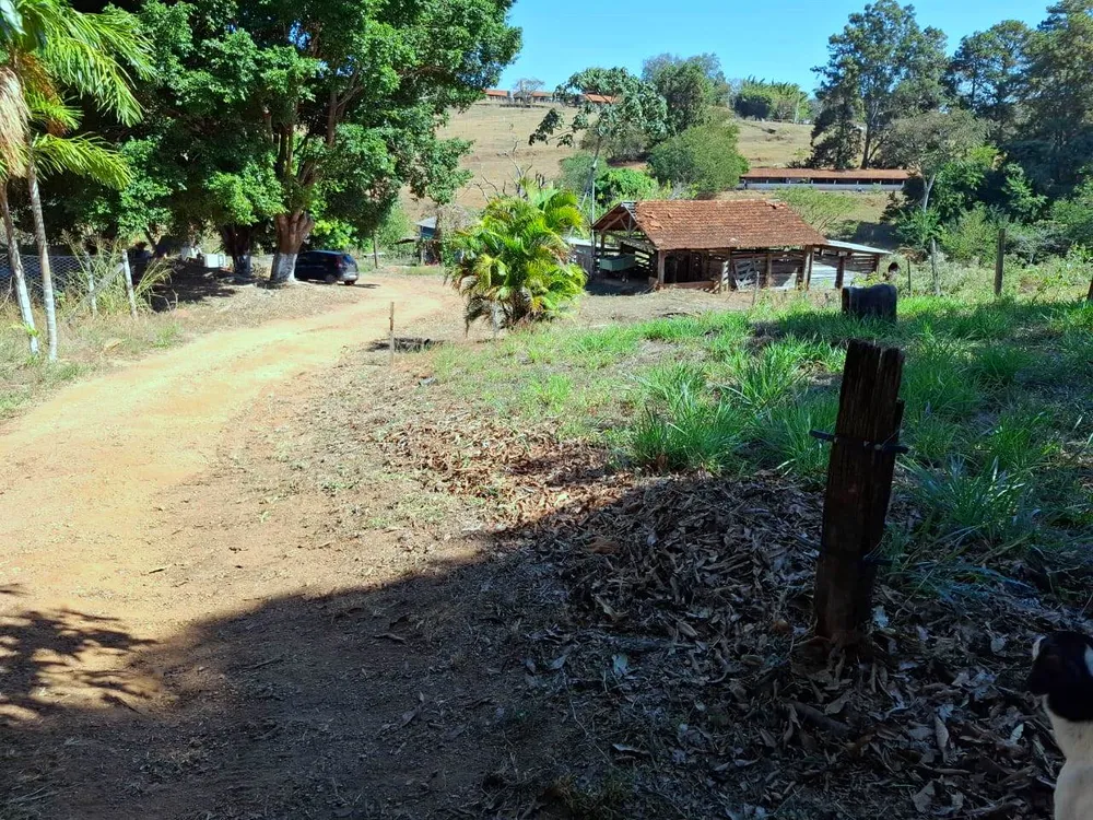 Sítio, 2 quartos, 4 hectares - Foto 11