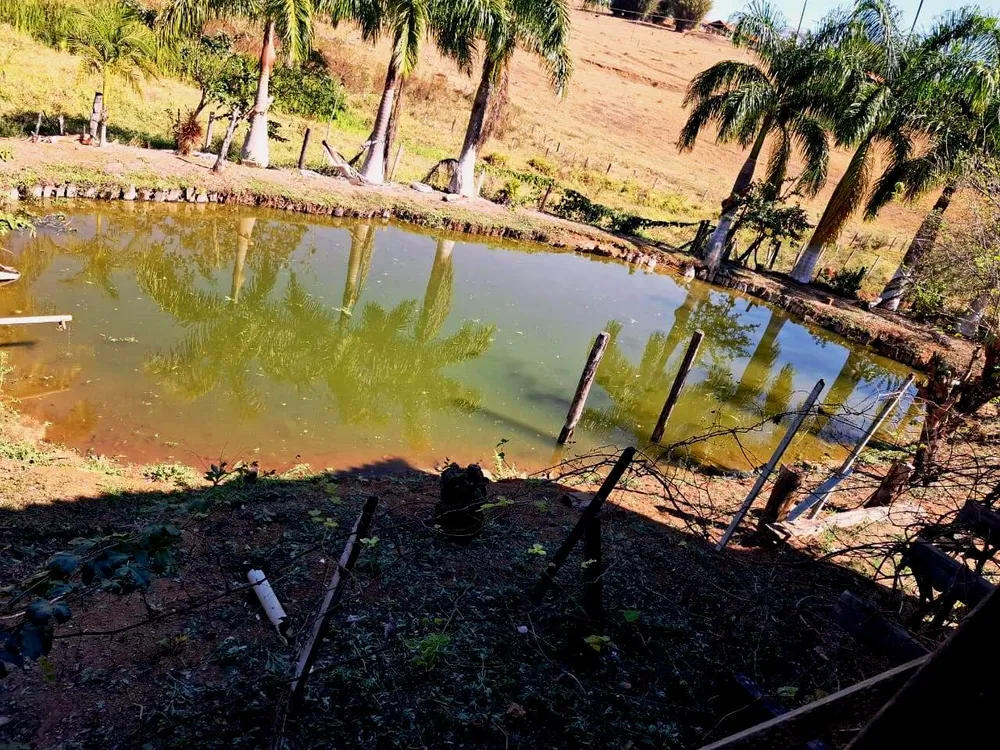 Sítio, 2 quartos, 4 hectares - Foto 8