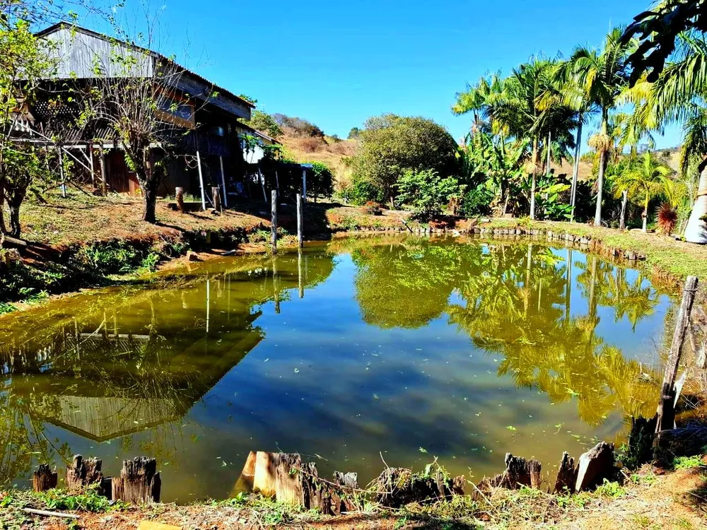 Sítio, 2 quartos, 4 hectares - Foto 3