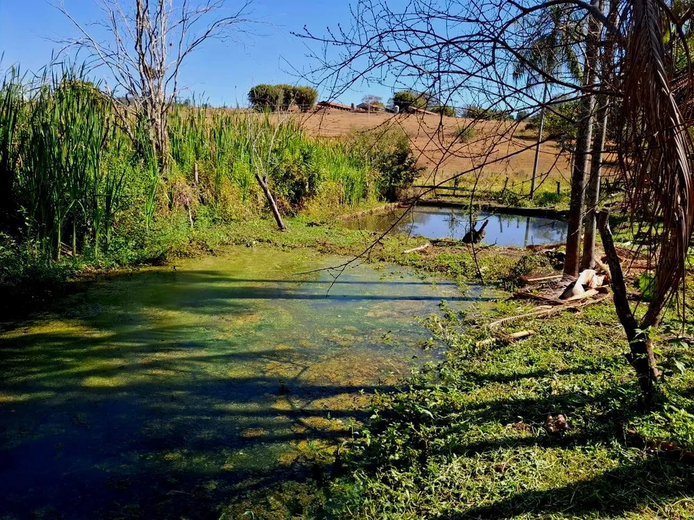 Sítio, 2 quartos, 4 hectares - Foto 10