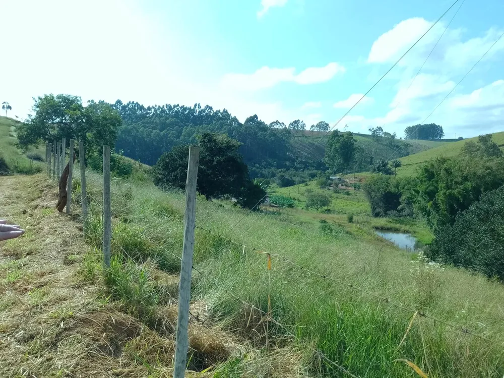 Sítio, 2 quartos, 8 hectares - Foto 11