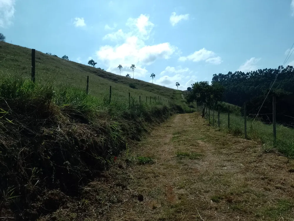 Sítio, 2 quartos, 8 hectares - Foto 13