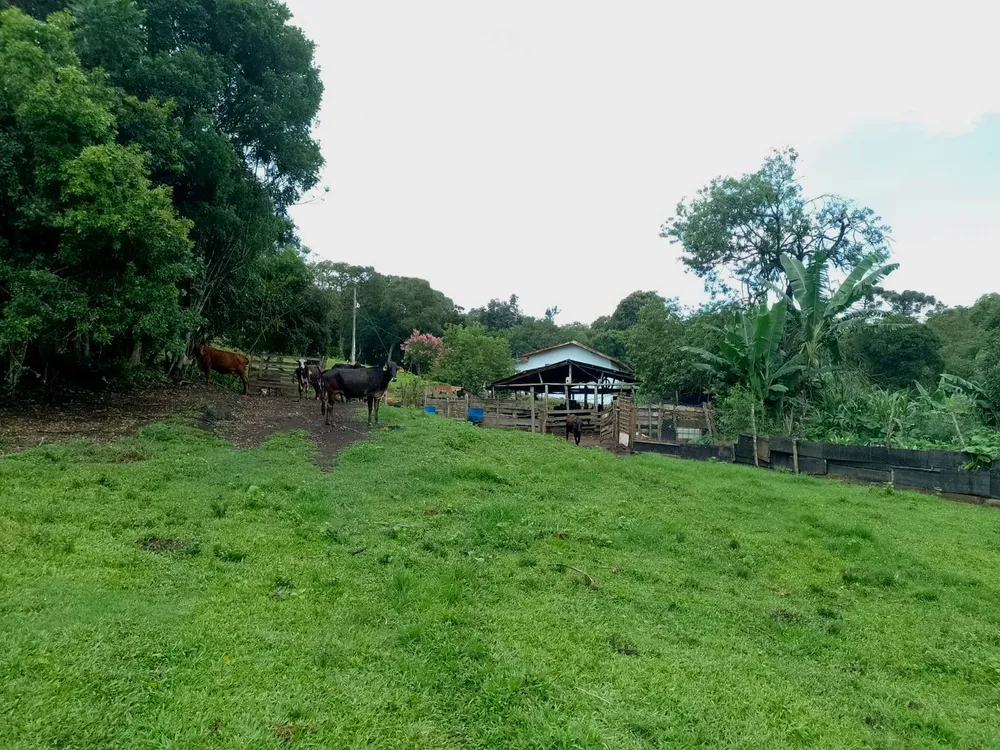 Sítio, 2 quartos, 13 hectares - Foto 16