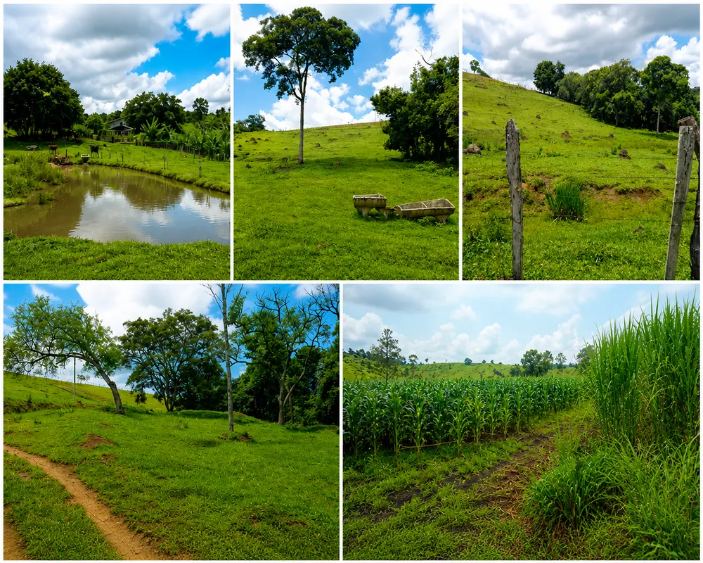 Sítio, 2 quartos, 13 hectares - Foto 4
