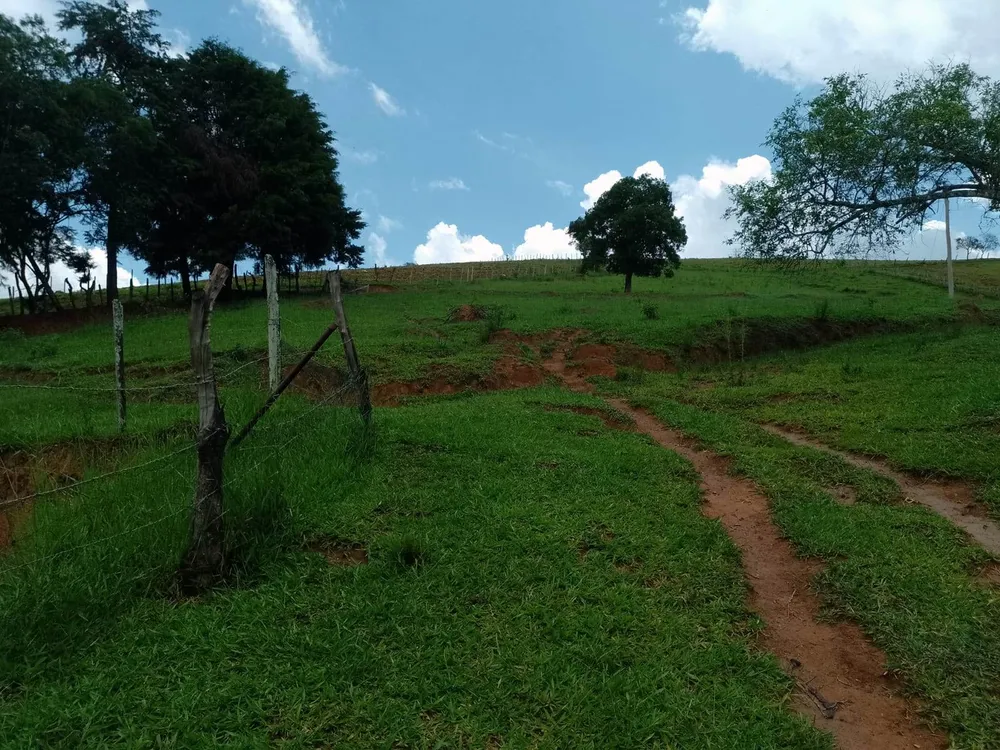 Sítio, 2 quartos, 13 hectares - Foto 8