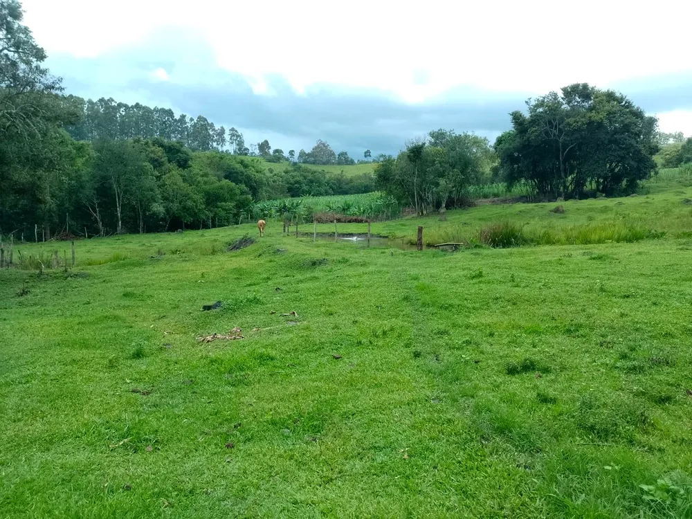 Sítio, 2 quartos, 13 hectares - Foto 10