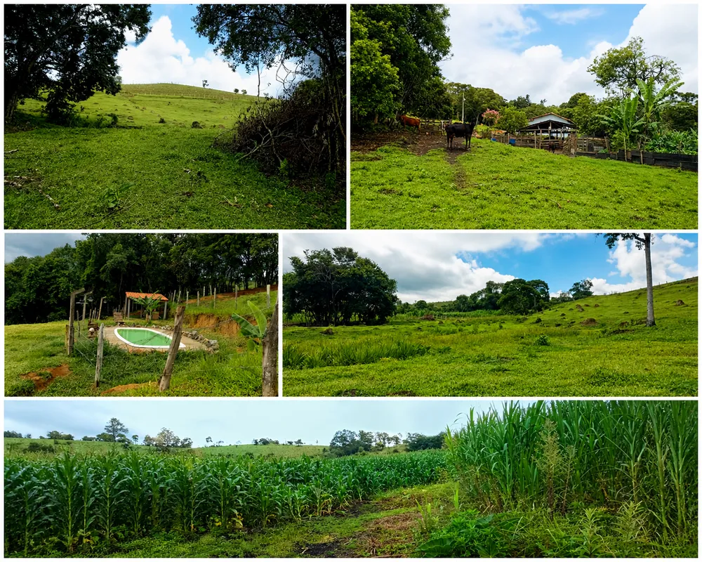 Sítio, 2 quartos, 13 hectares - Foto 2