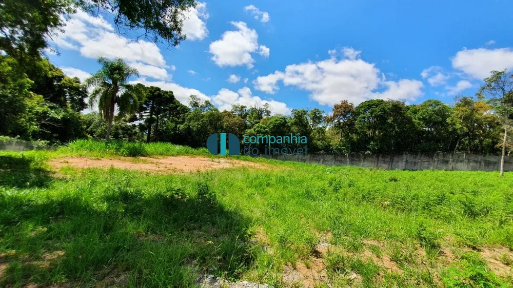 Terreno, 3310 m² - Foto 4