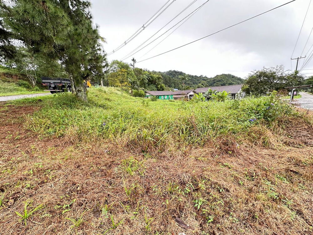 Terreno à venda - Foto 6