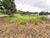 Terreno - Foto 6