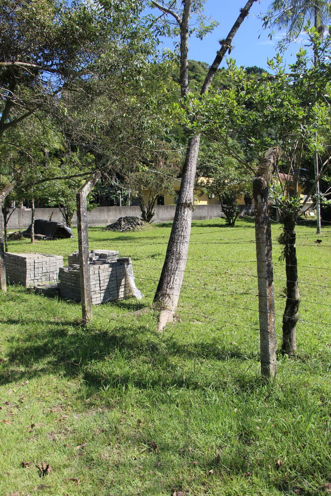 Sítio, 16573 m² - Foto 2