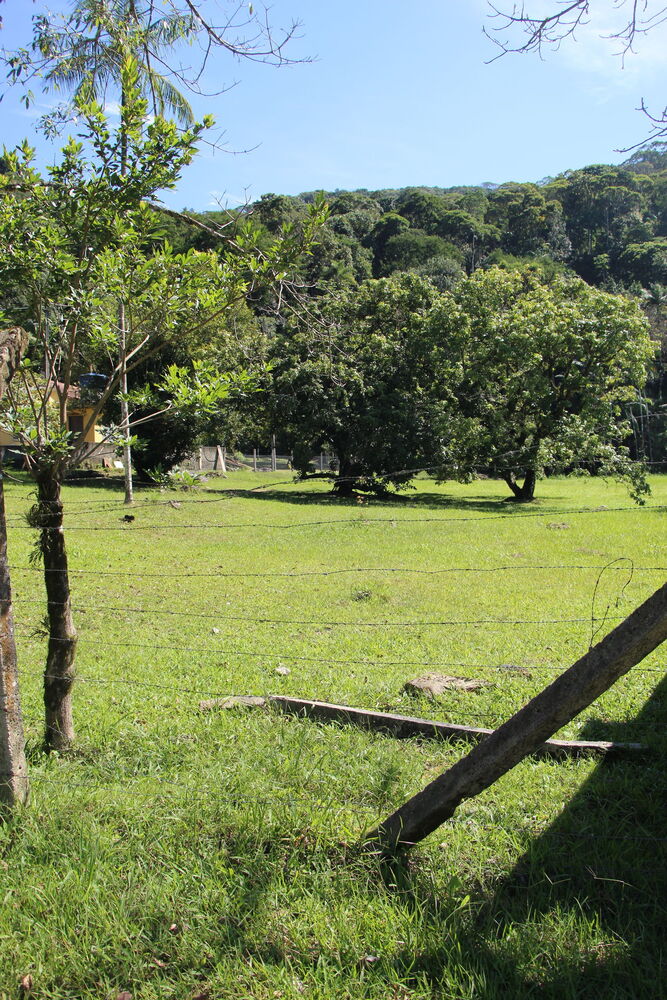 Sítio, 16573 m² - Foto 7