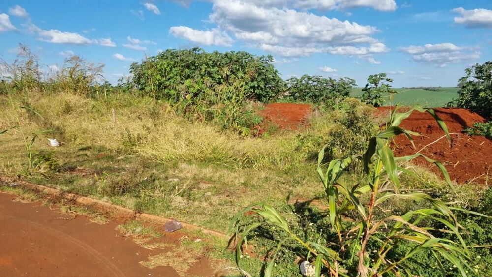 Terreno - Foto 2