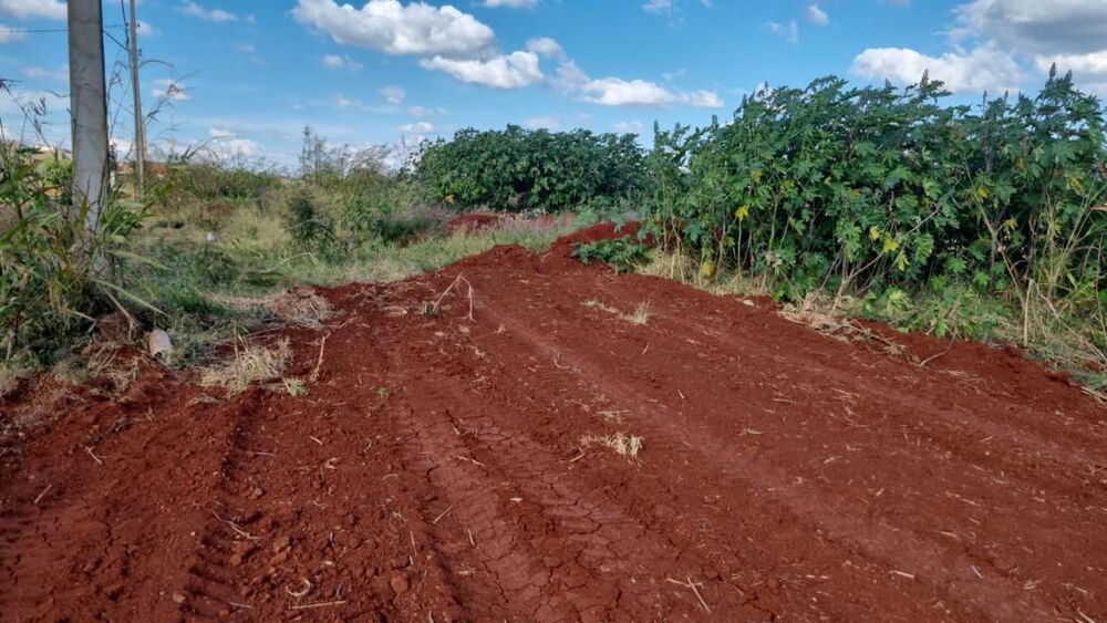 Terreno - Foto 4
