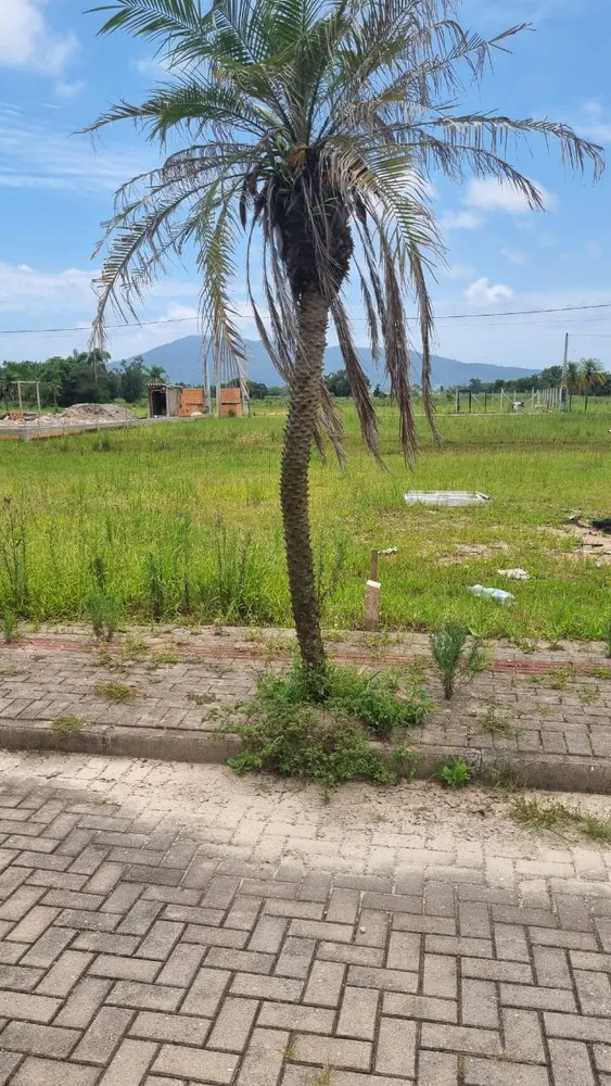 Terreno - Foto 4