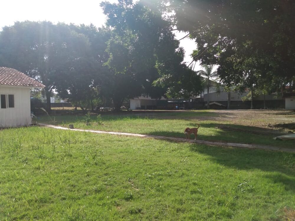 Terreno - Foto 1
