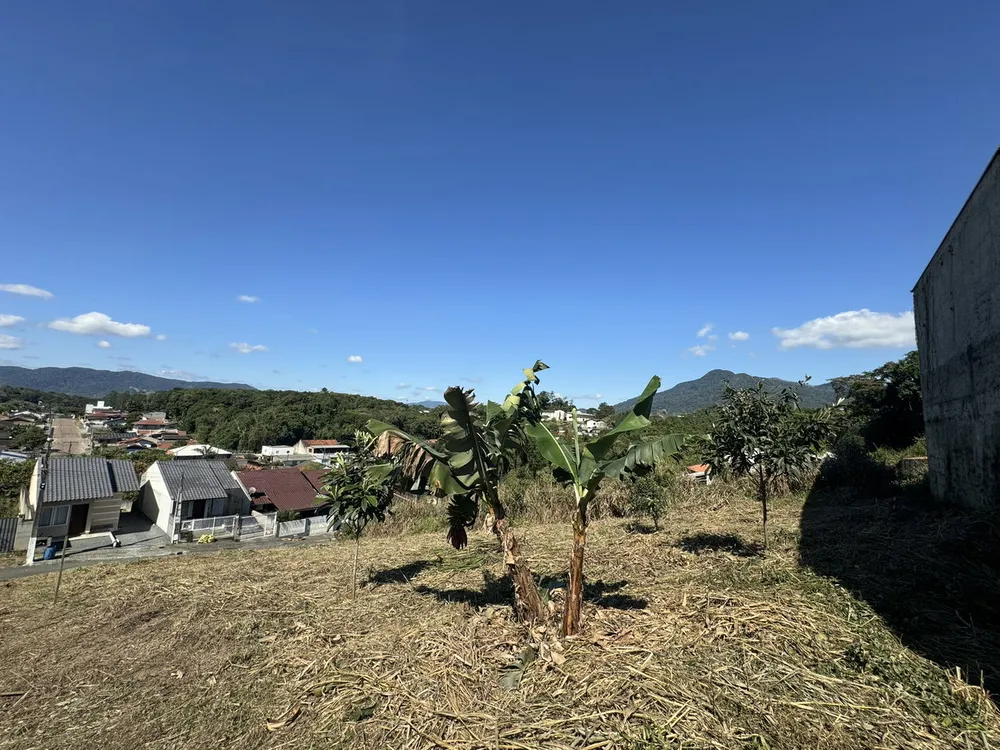 Terreno - Foto 6