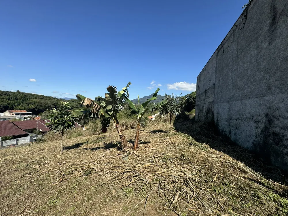Terreno - Foto 5