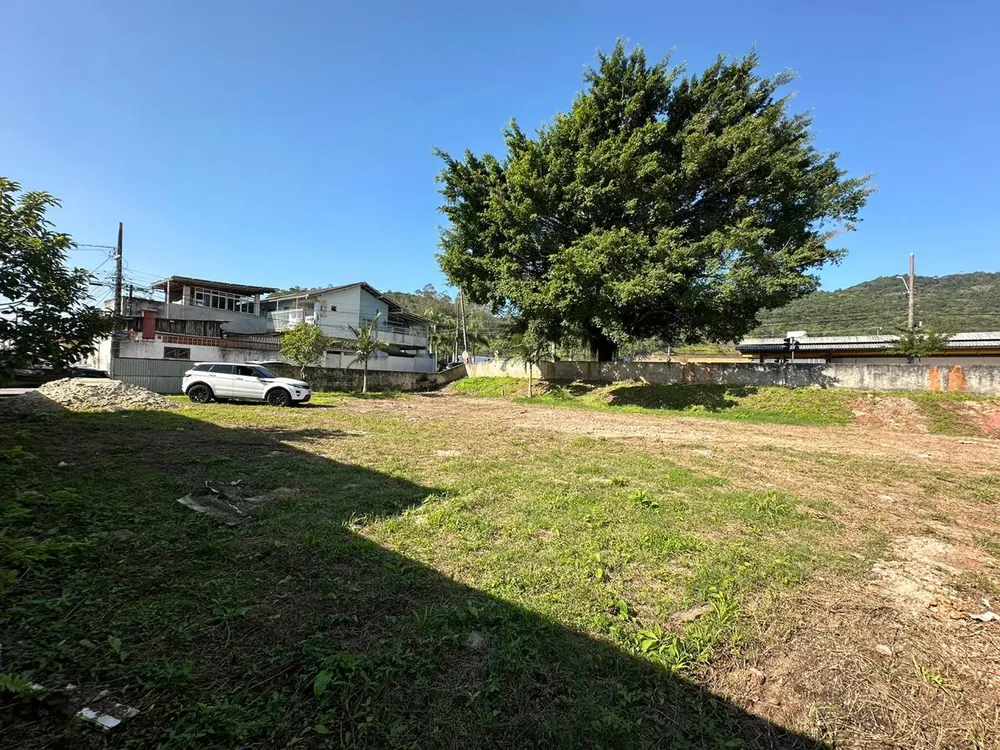 Terreno - Foto 4